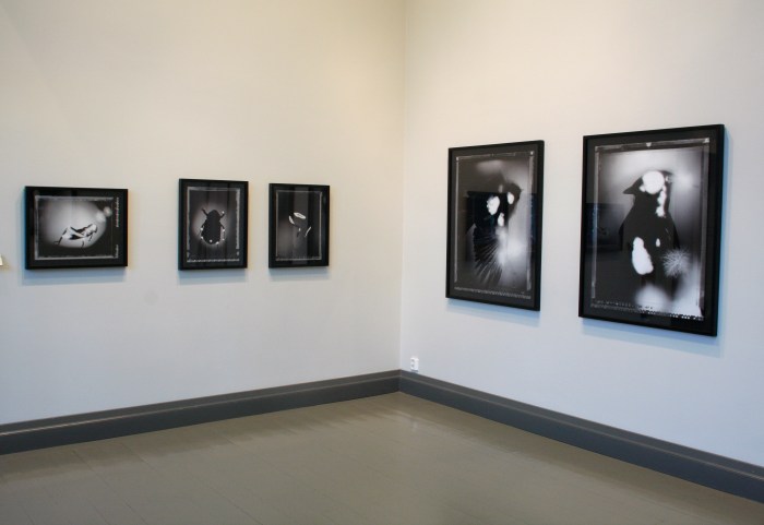 Turun taidemuseo Veli Granö Ylösnousemuksia Kirlian photos