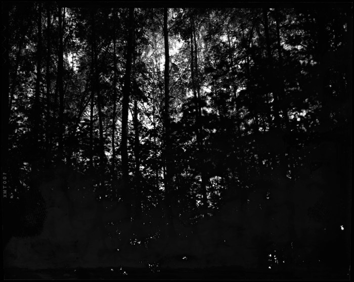 äänen kantaja.5mb Veli Granö