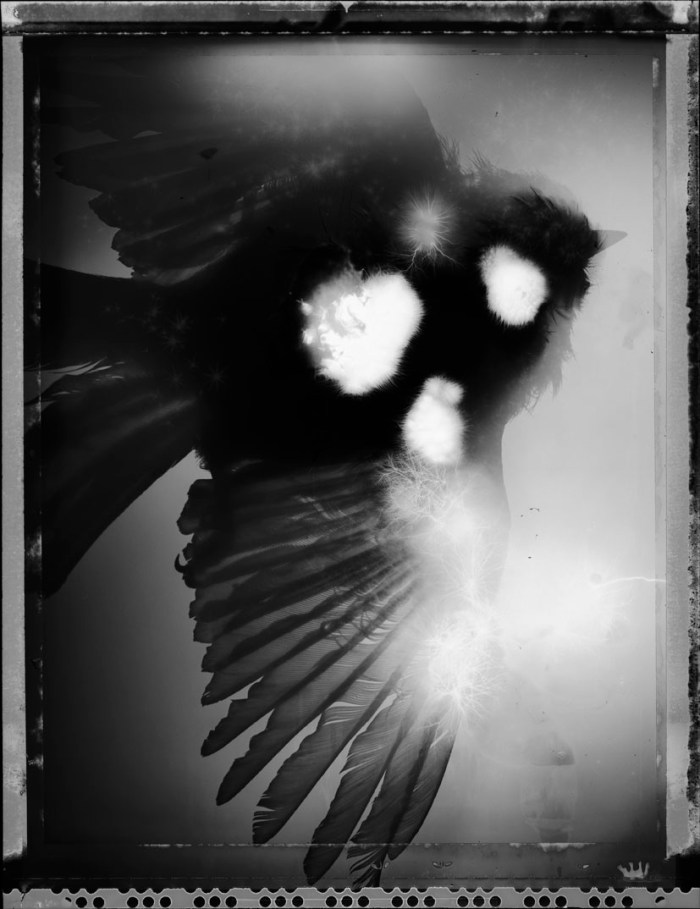 talitintti kirlian granö