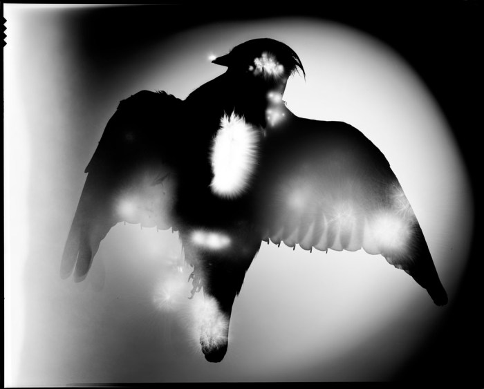 tilhi kirlian veli granö