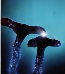 Kirlian photograph, 2011