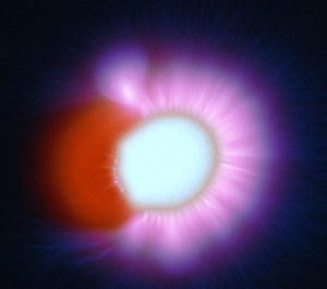 Kirlian photograph, Kirlian photography