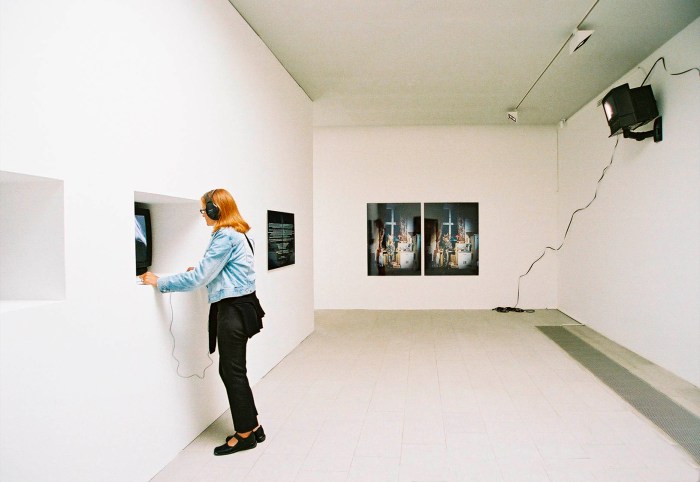 Star dweller installation